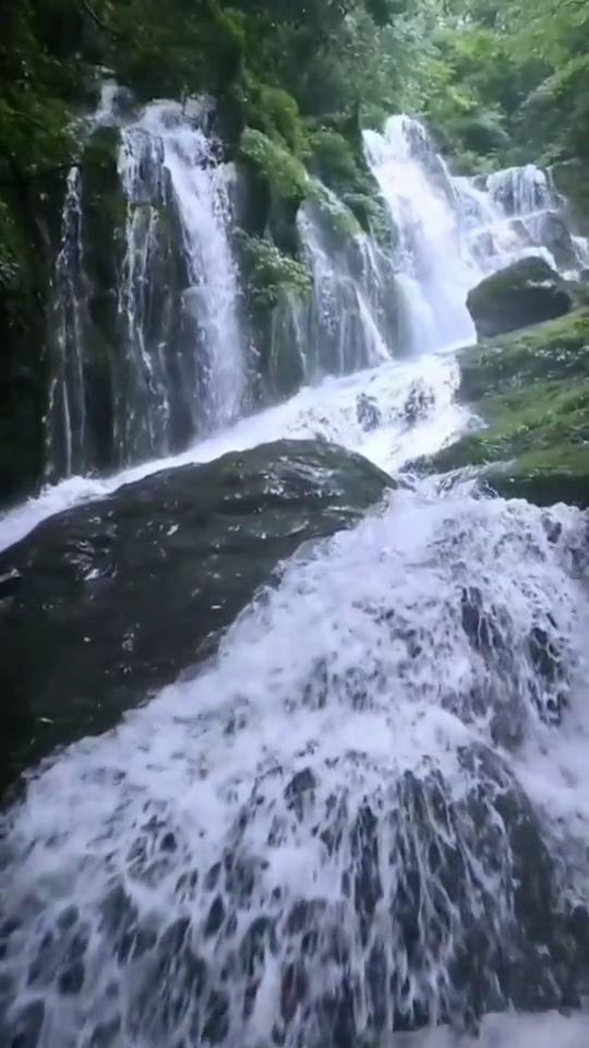 迪吉宫逃脱
